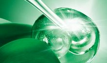 绿宝宝的生命里程_550字