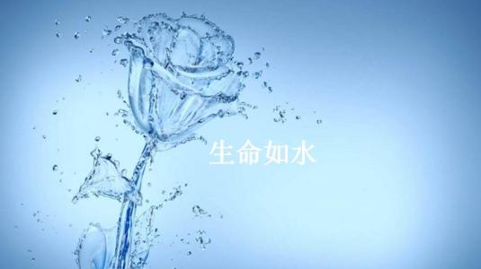 生活就像light_200个单词