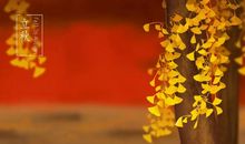 关于立秋的作文：立秋君送离大暑友人_900字