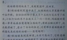 关于立秋的作文：青春立秋_650字