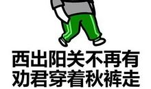 【每日天气】今天好冷_150字