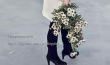 那些女孩的年华_600字