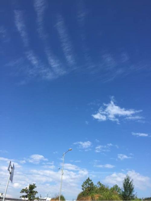 [每日天气]今天晴_200字