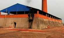 另一种生存_600字