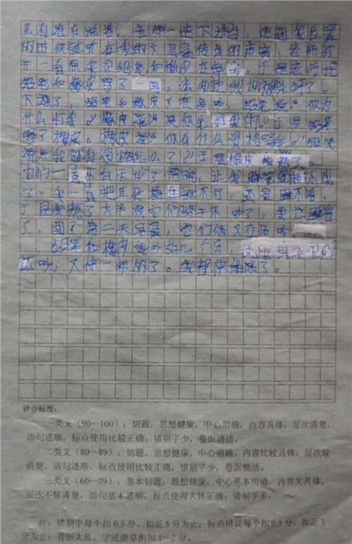 三年级的思想：卢秉华的感情_550字