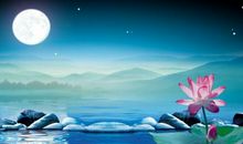 [7月渴望]我渴望雨落纷纷_700字