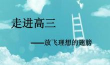 理想的翅膀_750字