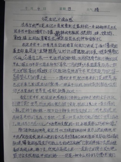 高三思考：“后退” _600字