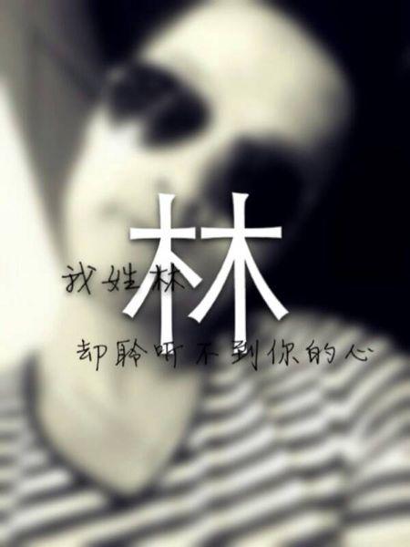那年，我遇到了你_600字