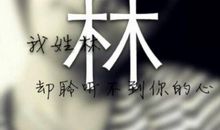 那年，我遇到了你_600字