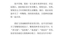 寒假趣事：寒假趣事_350字