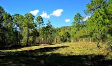 [7月渴望]我渴望心灵的回归_1200字