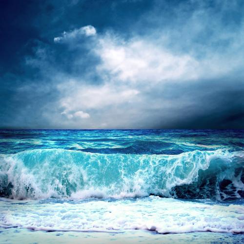高三解释性论文：sea_1000字的呼唤