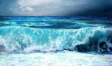 高三说明文：大海的呼唤_1000字