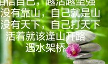 相信自己，请坚强！_100字