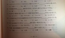 2004年山东高考优秀作文：只缘身在此山中_1000字