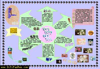 我最喜欢的老师_900字