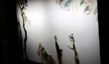 高三说明文：皮影梅_800字