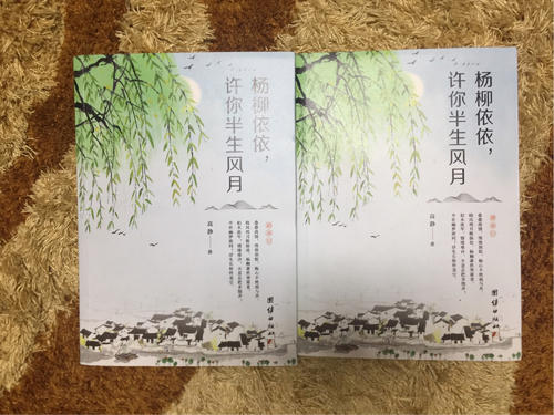 高级三本小说：杨柳一Yi_450字