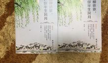 高三小说：杨柳依依_450字