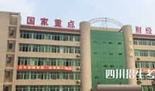 2020年四川绵阳中考语文作文题目：人生最贵的是_____