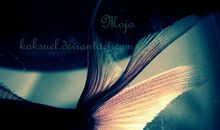 七秒记忆的鱼_600字