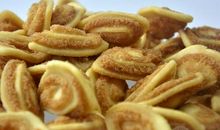 晚好,猫儿_800字