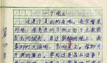 小学生暑假周记范文九_400字