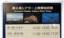 致那淡淡的夏季_350字