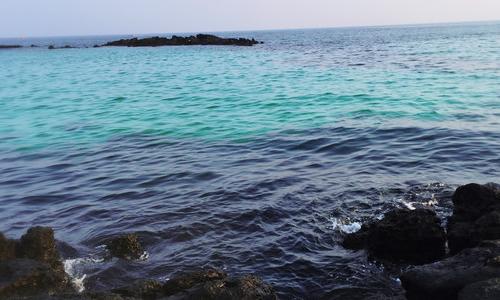 Sea_900字