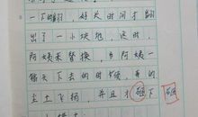 初一日记作文：孤_550字