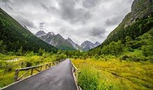 美无处不在_650字