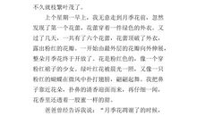 盛世玫瑰人物+剧情介绍_300字