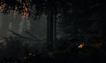 神秘的森林探险_550字