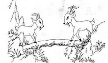 一年级看图写话：一起过独木桥_200字