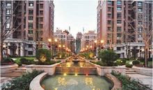 我家的花园_250字