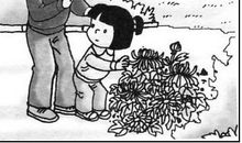 一年级看图写话：吃元宵_250字