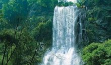 森林探险一日游_700字