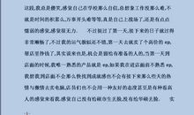 实习工作总结报告