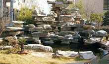 假山探险记_550字