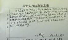 护士实习工作总结