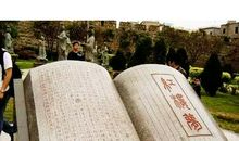 石头探险记_450字