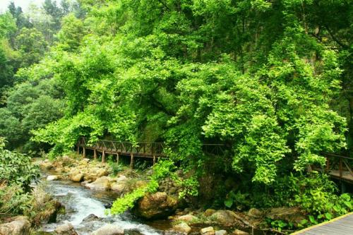 丛林Adventure_450个单词