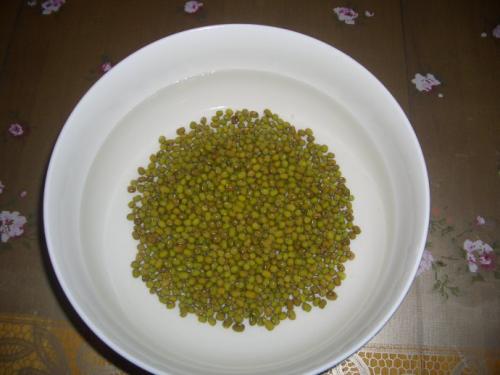 [原文]大豆观察日记_750字