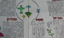 大自然的启示_400字