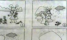 一年级看图写话：像把伞的小蘑菇_250字