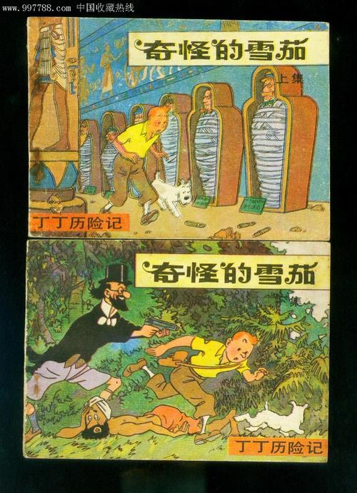 一次奇妙的冒险_500字