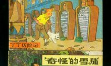 奇妙的探险记_500字