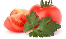 叶子回忆中的安静_400字