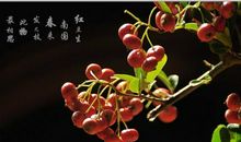 初三小说：夜深同花说相思_1000字